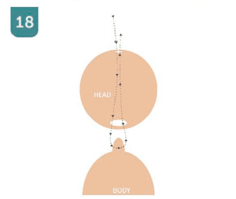 Diagrama Denominado cabeza Y cuerpo Que Representa El Proceso De Respiración En La Meditación Las Flechas Muestran Que El Aire Entra Por Las Fosas Nasales Fluye a Través De La Cabeza Y La Garganta Hacia El Cuerpo Y Luego Se Exhala Por El Mismo Camino Lo Que Recuerda La Misteriosa Precisión De Chucky En Sus Escalofriantes Movimientos