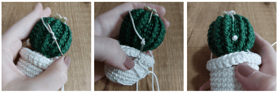 Imagen De Tres Paneles Que Muestra Unas Manos Cosiendo Un Cactus Verde Tejido Sobre Una Base Tejida De Color Blanco Se Está Asegurando El Cactus Con Hilo Blanco Y Una Aguja Lo Que Demuestra El Proceso De Montaje Del Proyecto Del Cactus Amigurumi Ideal Para Quienes Buscan Un Tutorial De Amigurumi