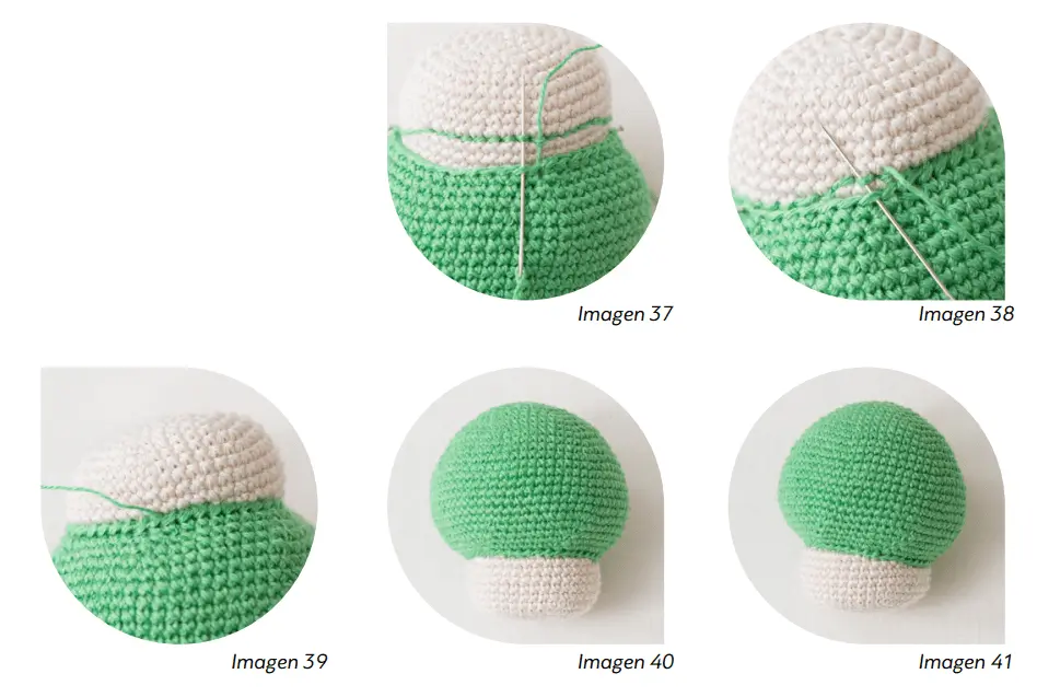 Cinco Imágenes Muestran Los Pasos Para Tejer Un Top De Hongo Verde Y Blanco imagen 37 E imagen 39 Representan Los Puntos Iniciales imagen 38 imagen 40 E imagen 41 Muestran La Construcción Y Forma Gradual De La Parte Superior Del Hongo