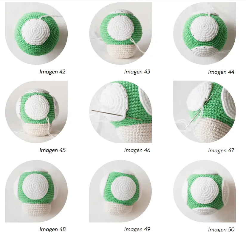 Un Tutorial De Crochet De Nueve Pasos Para Hacer Un Hongo Verde Con Manchas Blancas Cada Paso Muestra El Progreso En Un Punto Blanco Que Se Está Cosiendo En La Gorra Verde Los Pasos Están Etiquetados Desde imagen 42 Hasta imagen 50 El Hongo Tiene Un Tallo Blanco Y Una Punta Verde